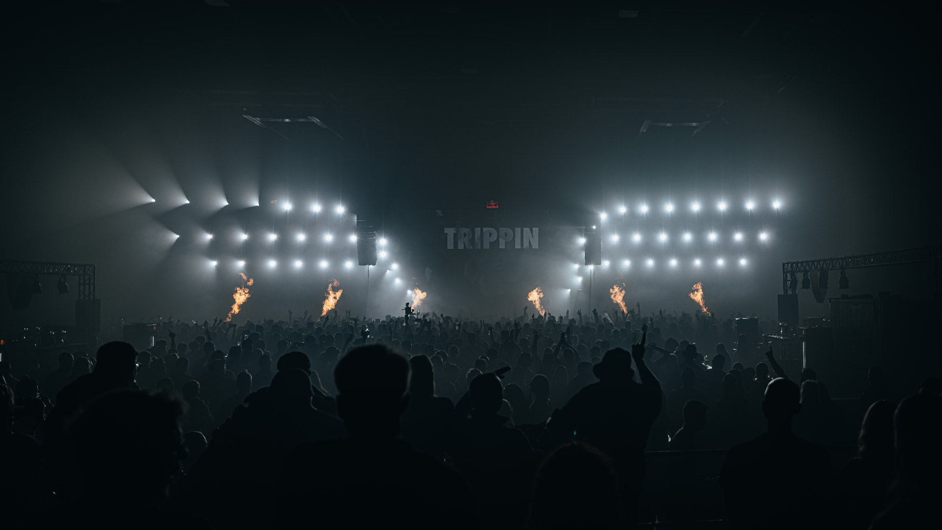 Festival crowd in front of a light wall and flame jets at Bassment Festival, shot by Paul Rumplmaier